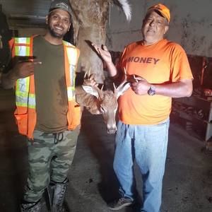 Meet your Posher, Ben